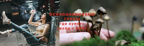 амф Алексеевка