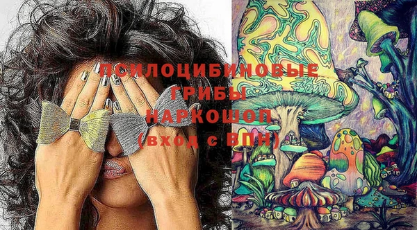 амф Алексеевка