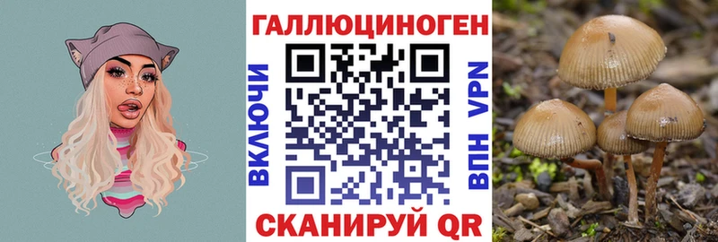 нарко площадка официальный сайт  Темрюк  Псилоцибиновые грибы ЛСД 